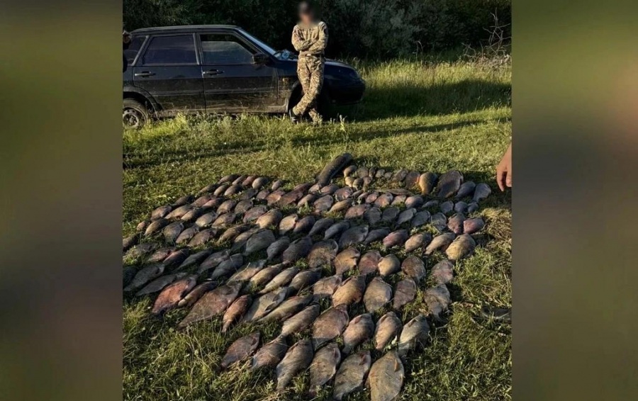 Двое саратовцев в период нерестового запрета наловили рыбы на 112 тысяч рублей Двое саратовцев в период нерестового запрета наловили рыбы на 112 тысяч рублей